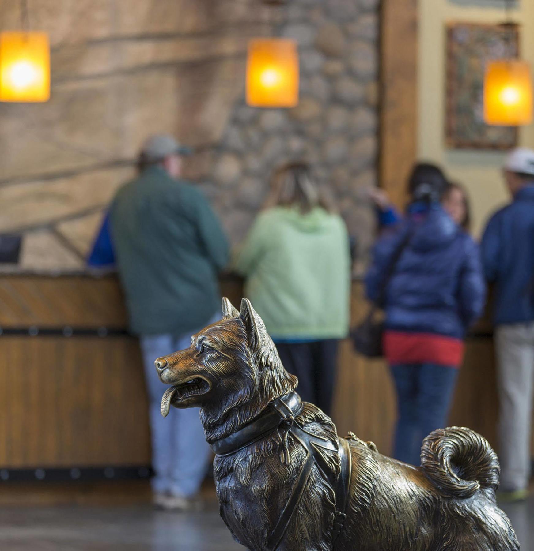 Holland America Denali Lodge Denali Park Extérieur photo